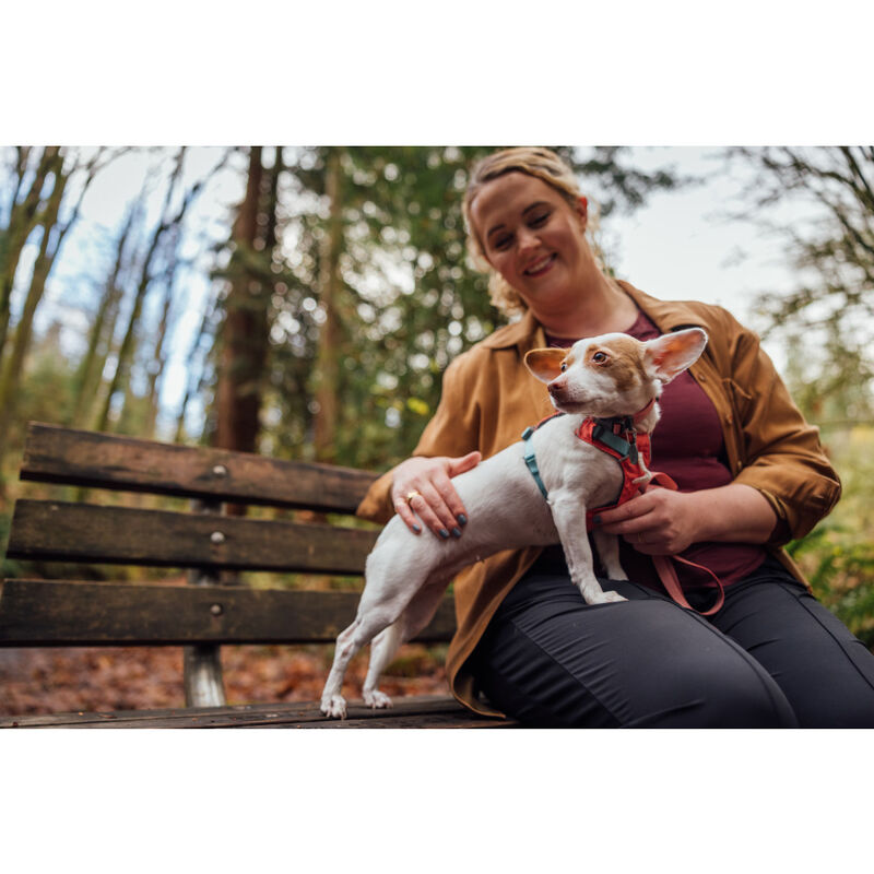 Ruffwear Hi & Light Lightweight Dog Harness, Salmon Pink image number null