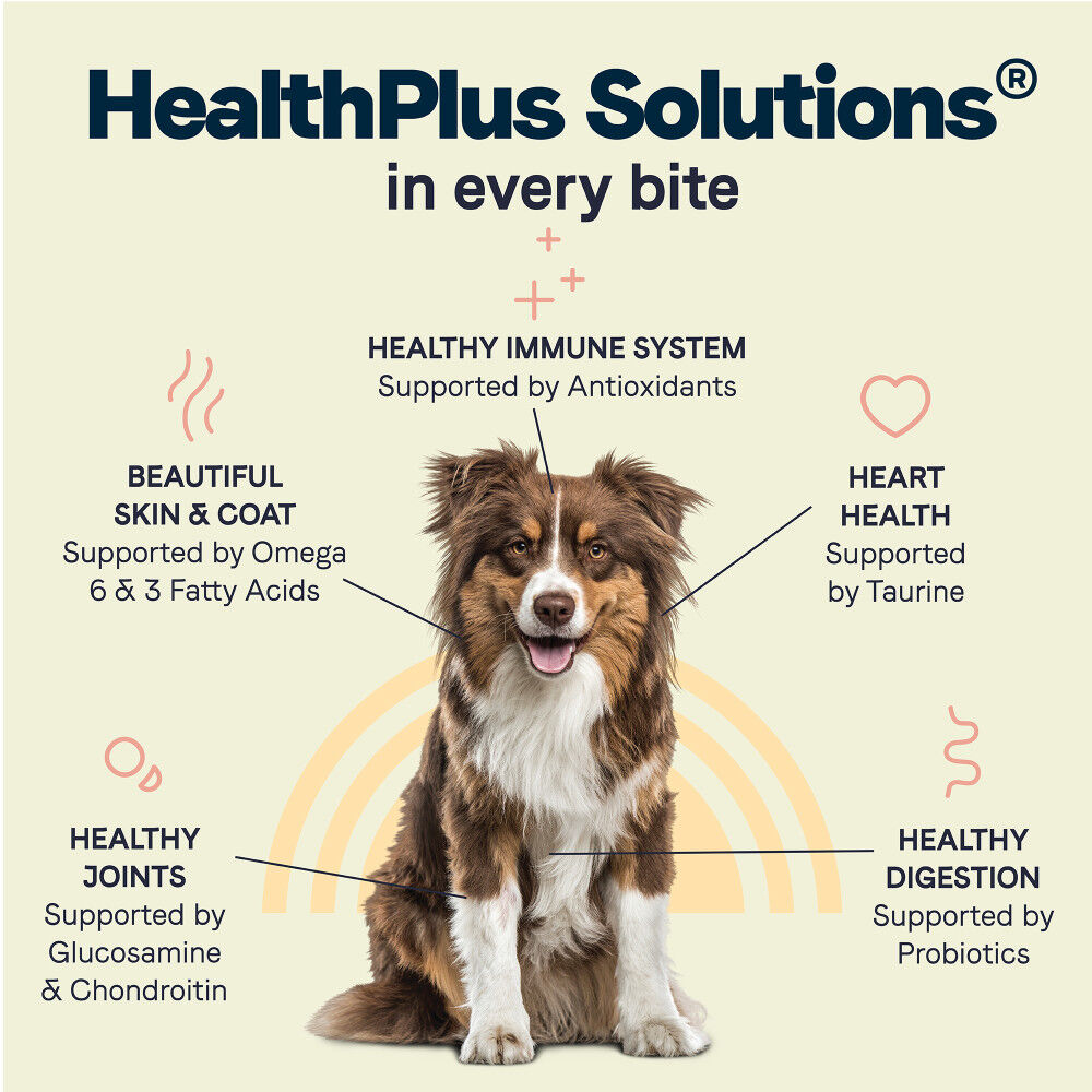 Mud Bay Buy Canidae All Life Stages Dry Dog Food Lamb Meal
