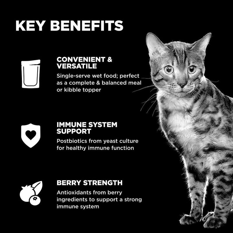 Go! Solutions Booster Wet Cat Food Topper, Immune Health, Tuna Pate, 2.5-oz image number null