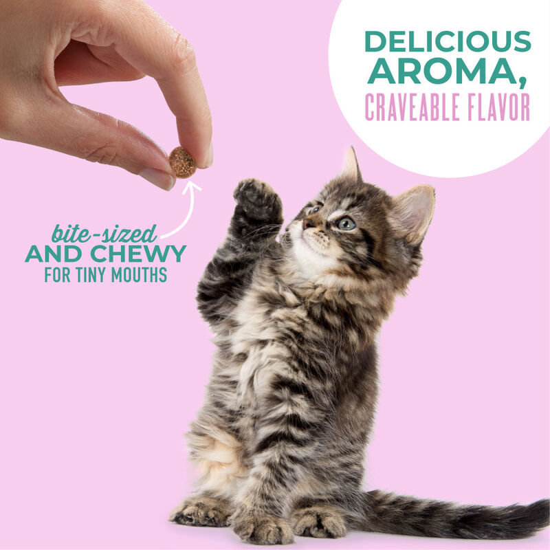 Tiki Cat Baby Soft & Chewy Mini Cat Treats, Tuna & Salmon, 2-oz image number null