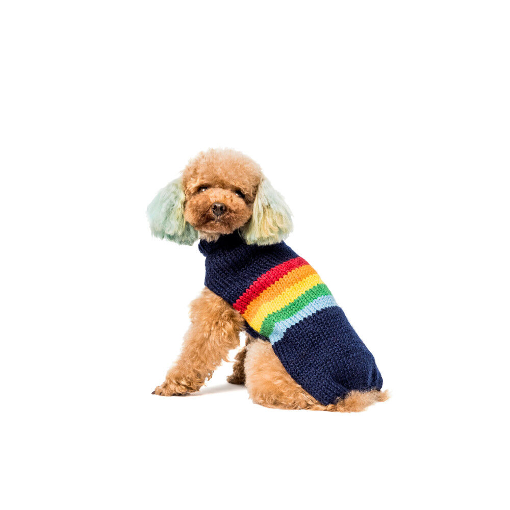 The bay dog sweater discount