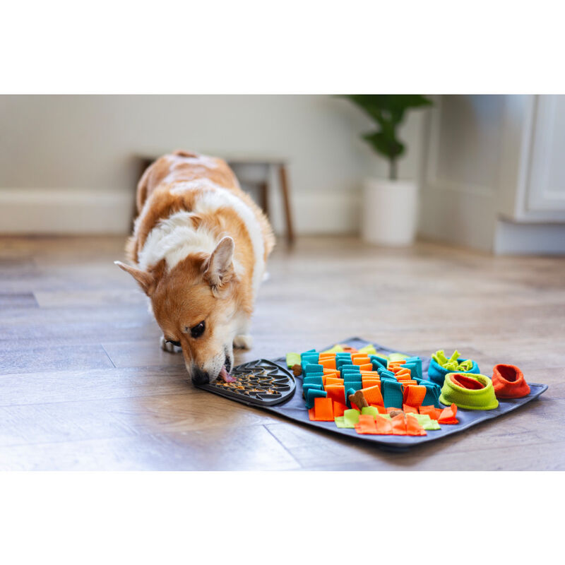 Messy Mutts Square Forage Mat with Lick Mat, 16-in x 16-in image number null