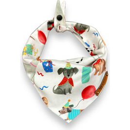 Mud Bay Dog Bandana, Doggie Birthday