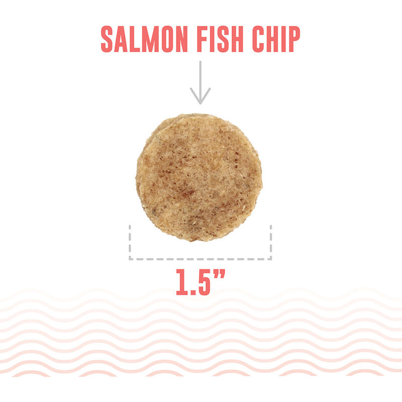 Icelandic+ Fish Chips Dog Treats, Salmon, 2.5-oz image number null