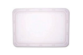 PetRageous Designs Bone n' Up for Dinner Non-Slip Dog Dinner Tray, Clear