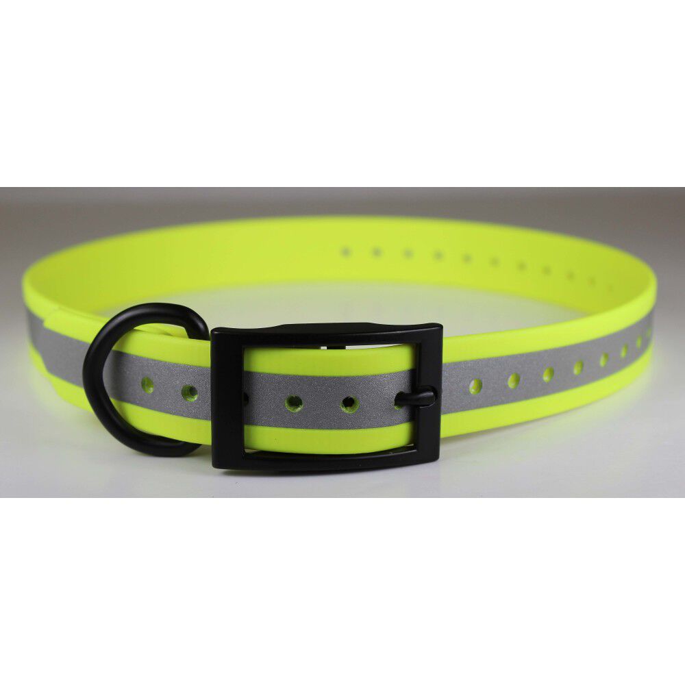 Zeta waterproof top dog collars