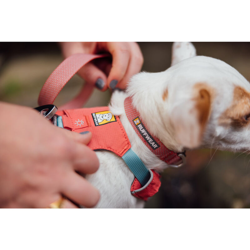 Ruffwear Hi & Light Lightweight Dog Harness, Salmon Pink image number null