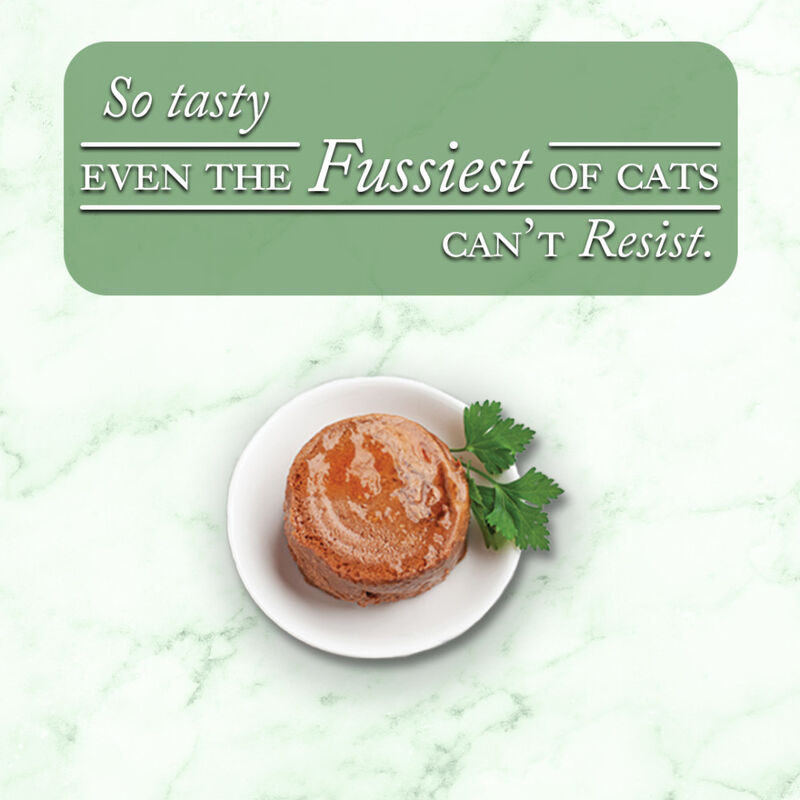 Fussie Cat Fine Dining Pate Canned Cat Food, Ocanfish & Salmon, 2.86-oz image number null