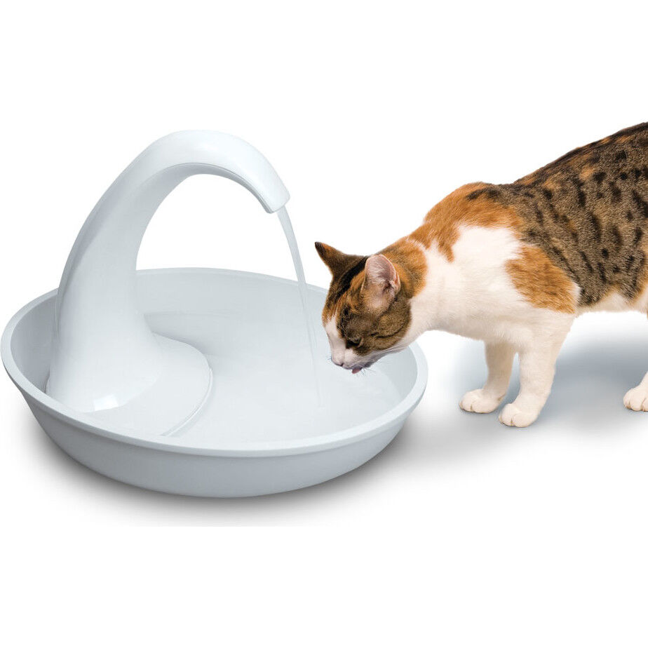 Pioneer pet water fountain hotsell