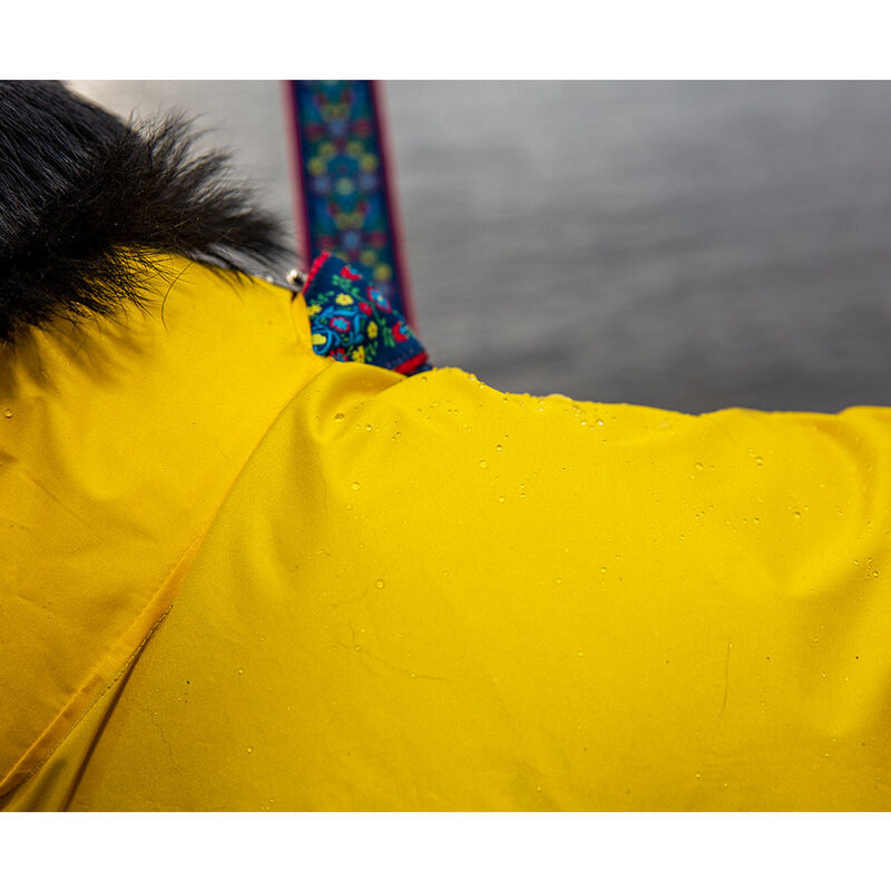 RC Pets Delta Dog Rain Slicker, Lemon, XX-Small image number null