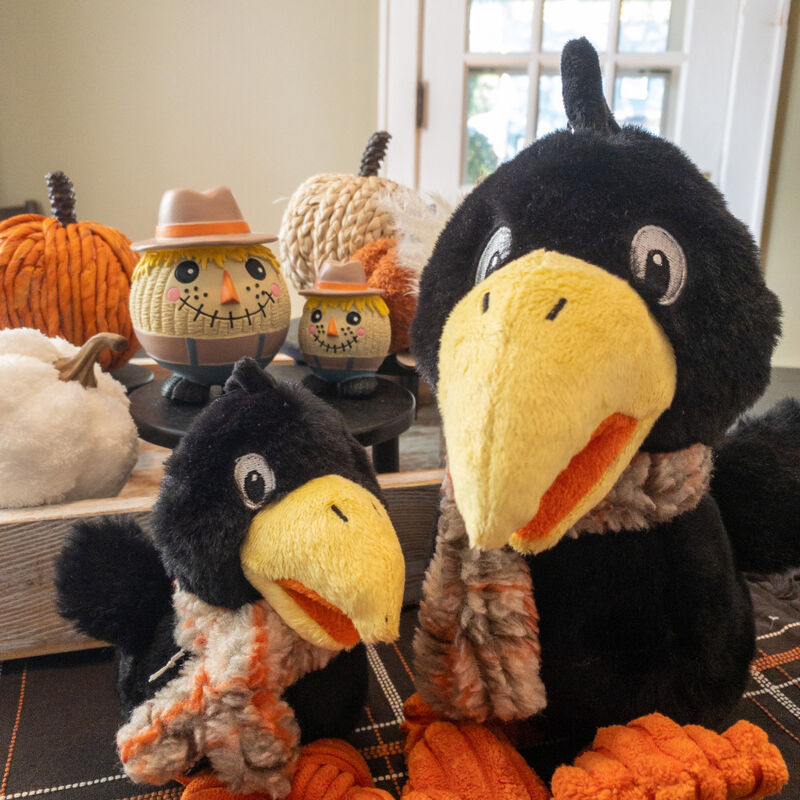 HuggleHounds Corny Crow Knottie