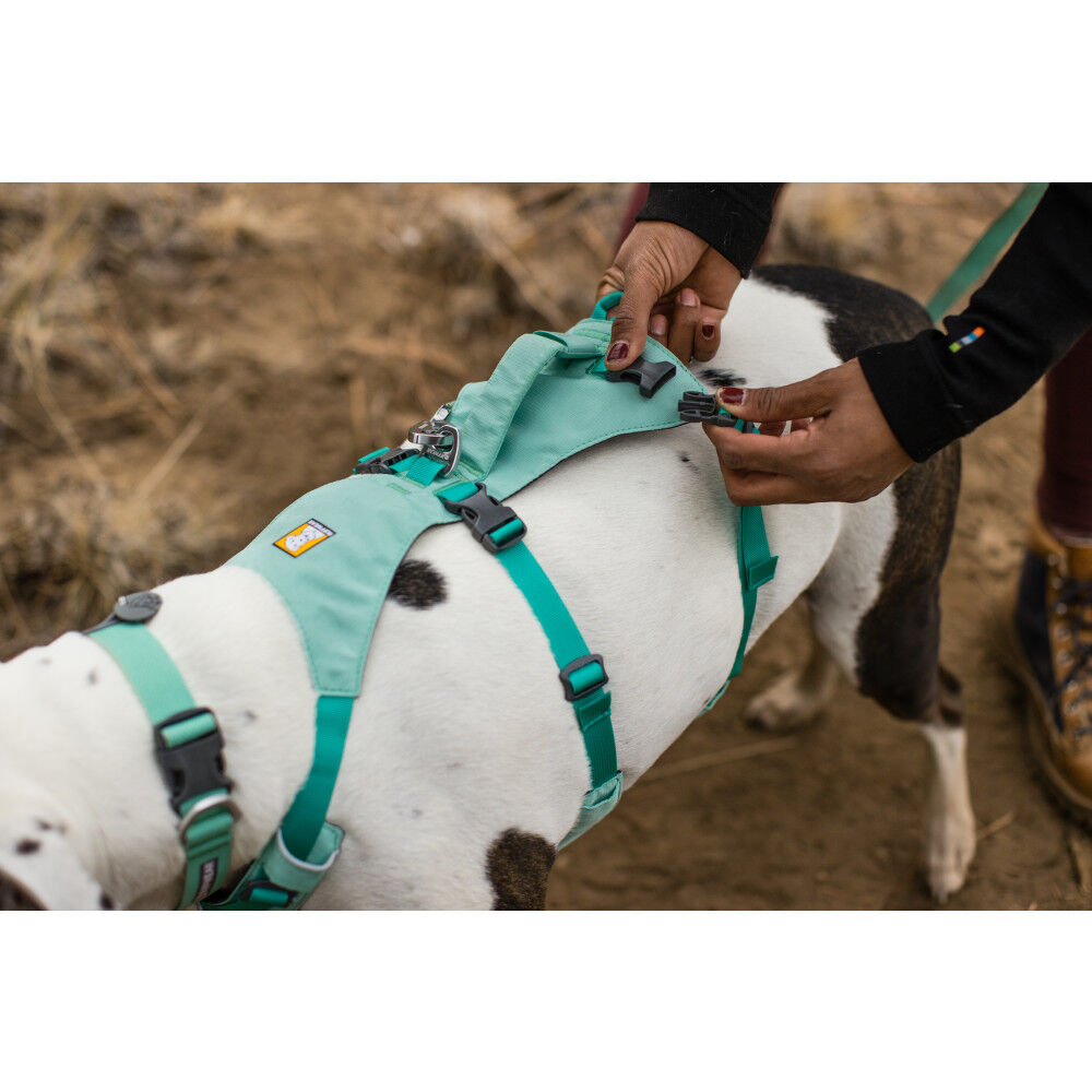 Ruffwear flagline shop harness