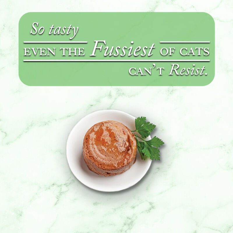 Fussie Cat Fine Dining Pate Canned Cat Food, Oceanfish image number null