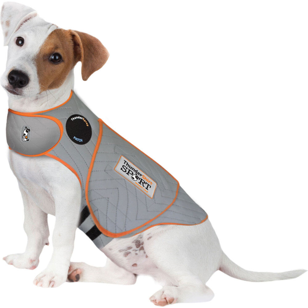 Mud Bay Buy ThunderShirt SPORT Platinum Anxiety Calming Solution for Dogs Heather Grey Small for USD 44.99 MudBay