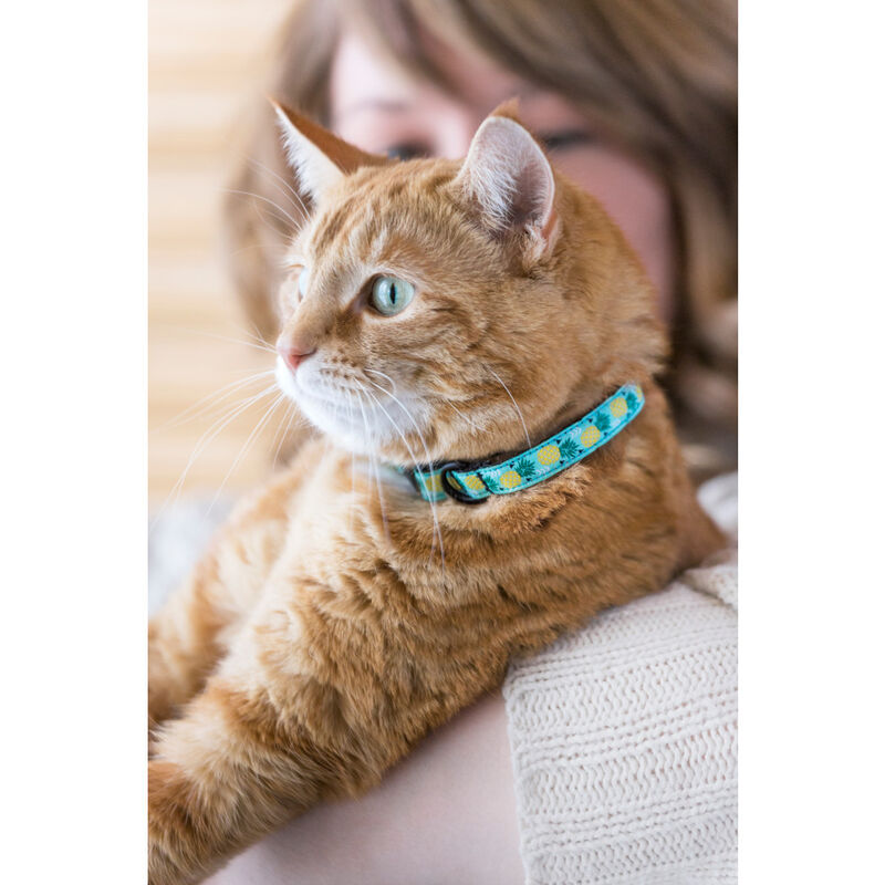RC Pets Breakaway Cat Collar, Pineapple Parade image number null