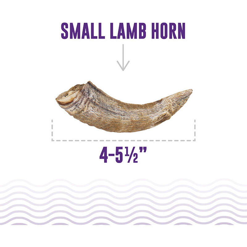 Icelandic+ Small Lamb Horn With Marrow Dog Treat, Small , 4-4.7in
