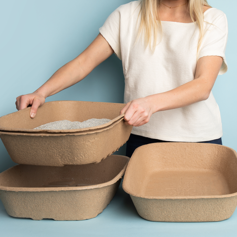 Sifting litter box with lid on sale