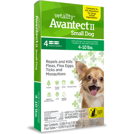 Best flea treatment for chihuahuas online