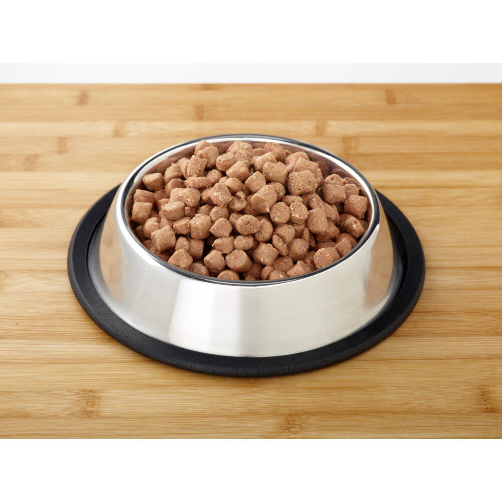 Primal beef dog food online