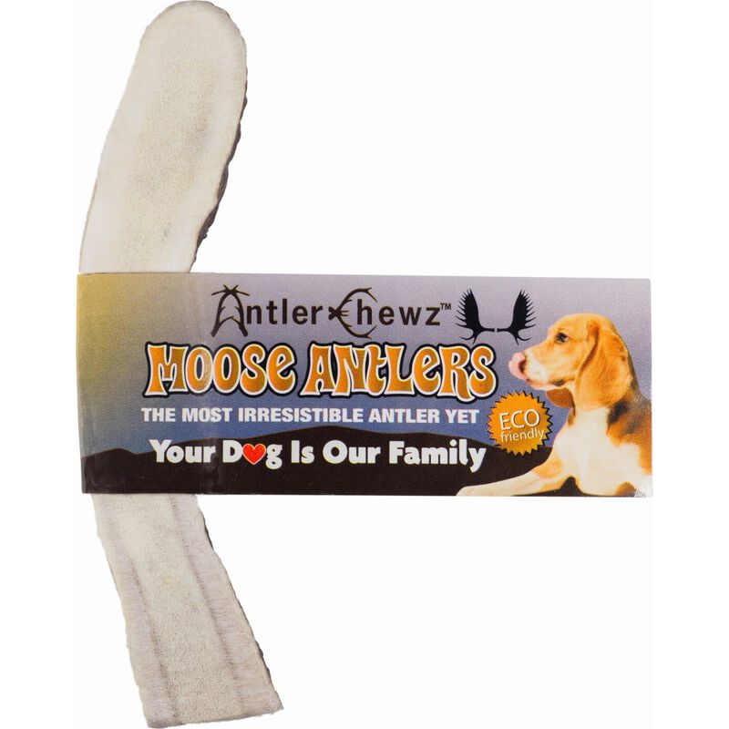 Antler Chewz Moose Antler Dog Treat image number null