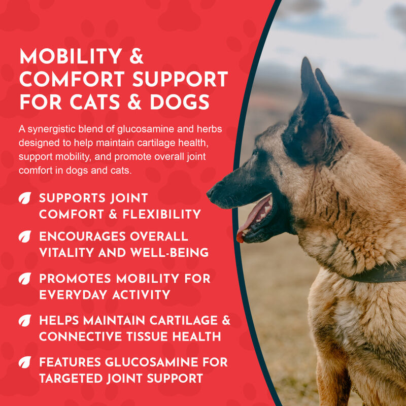 Animal Essentials Joint Support Dog & Cat Supplement, 1-oz image number null