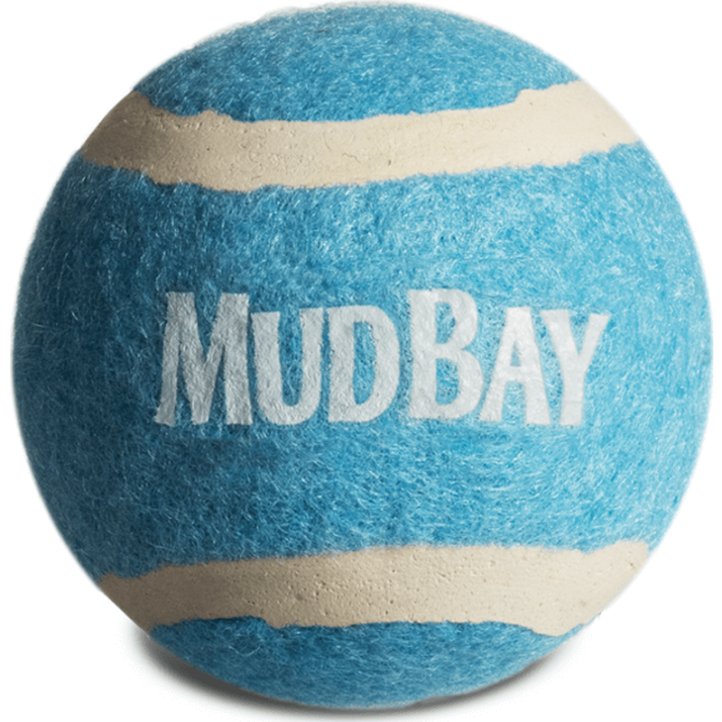 Mud Bay Happy Birthday Tennis Ball Dog Toy, Assorted Colors, Regular image number null