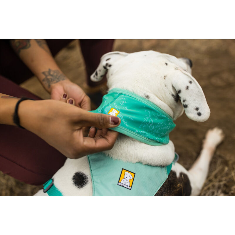 Ruffwear Swamp Cooler Gaiter Dog Cooling Apparel, Aurora Teal image number null