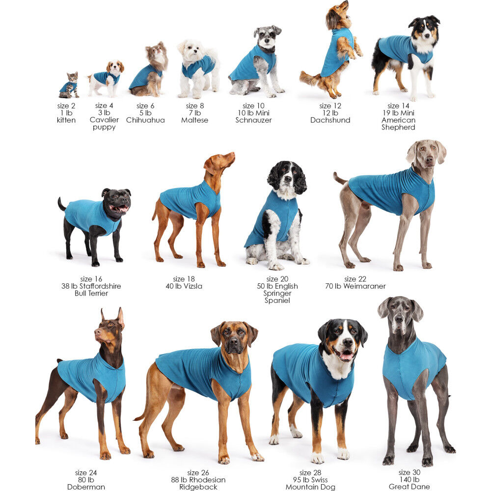 Mud Bay Buy Gold Paw Stretch Fleece Dog Coat Turquoise 12 for USD 29.99 MudBay