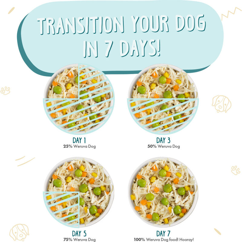 Weruva Classic Canned Dog Food, Funky Chunky, Chicken Soup & Pumpkin, 14-oz image number null