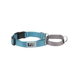 RC Pets Easy Clip Web Training Dog Collar, Teal