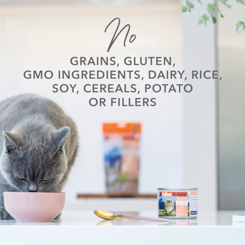 Feline Natural Canned Cat Food, Chicken & Venison, 6-oz image number null
