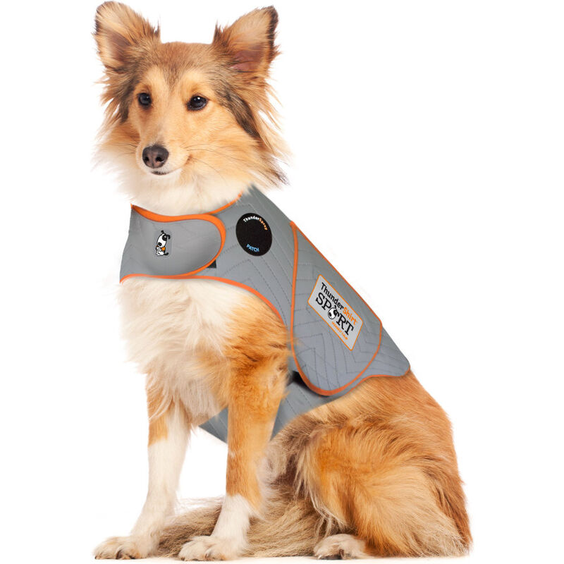 ThunderShirt SPORT Platinum Anxiety & Calming Solution for Dogs, Heather Grey, Large image number null