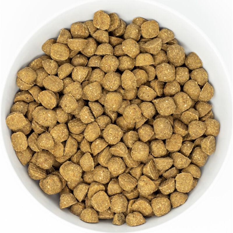 Stella & Chewy's Raw Coated Wholesome Grains Dry Dog Food, Chicken image number null