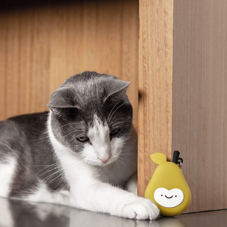 Mud Bay Buy Casa Leo Smarty Pear Interactive Laser Cat Toy