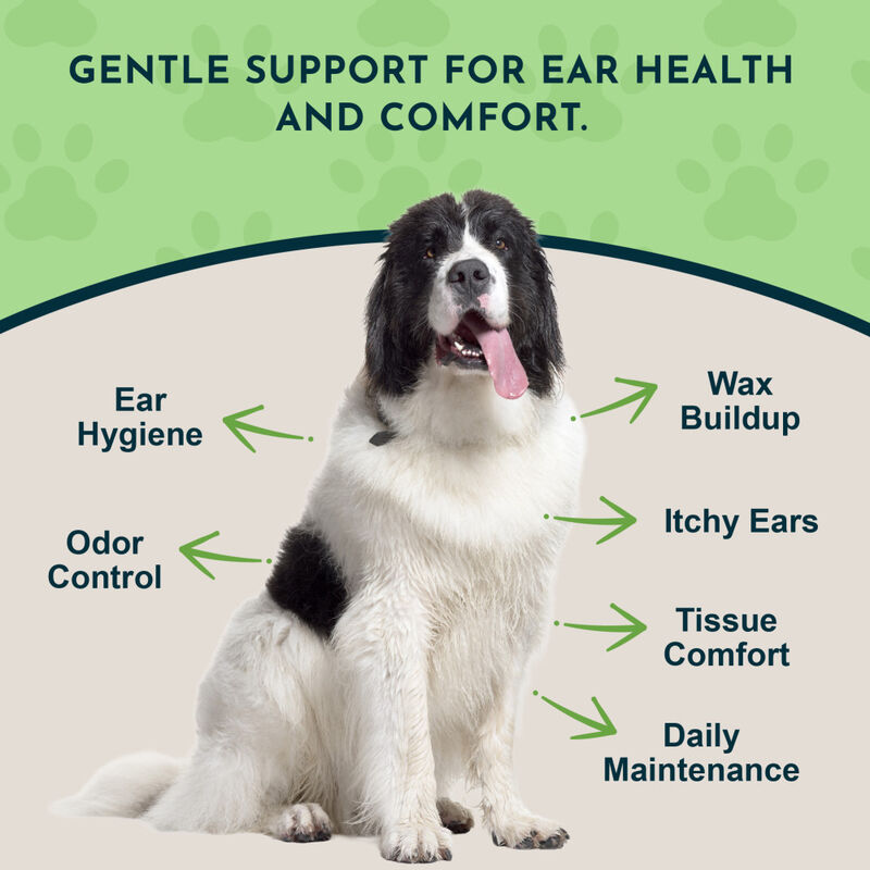 Animal Essentials Herbal Ear Rinse for Dogs & Cats, 4-oz image number null