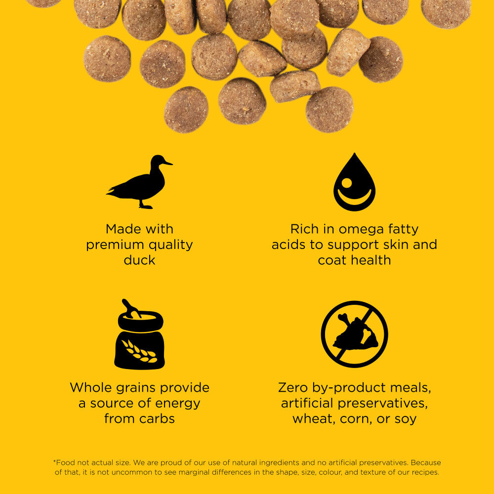 Where is go outlet dog food made