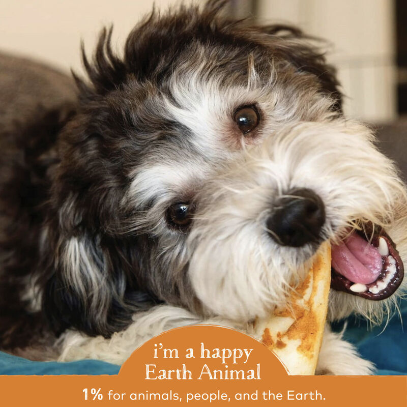 Earth Animal No-Hide Chicken Chew Dog Treats, 4-in