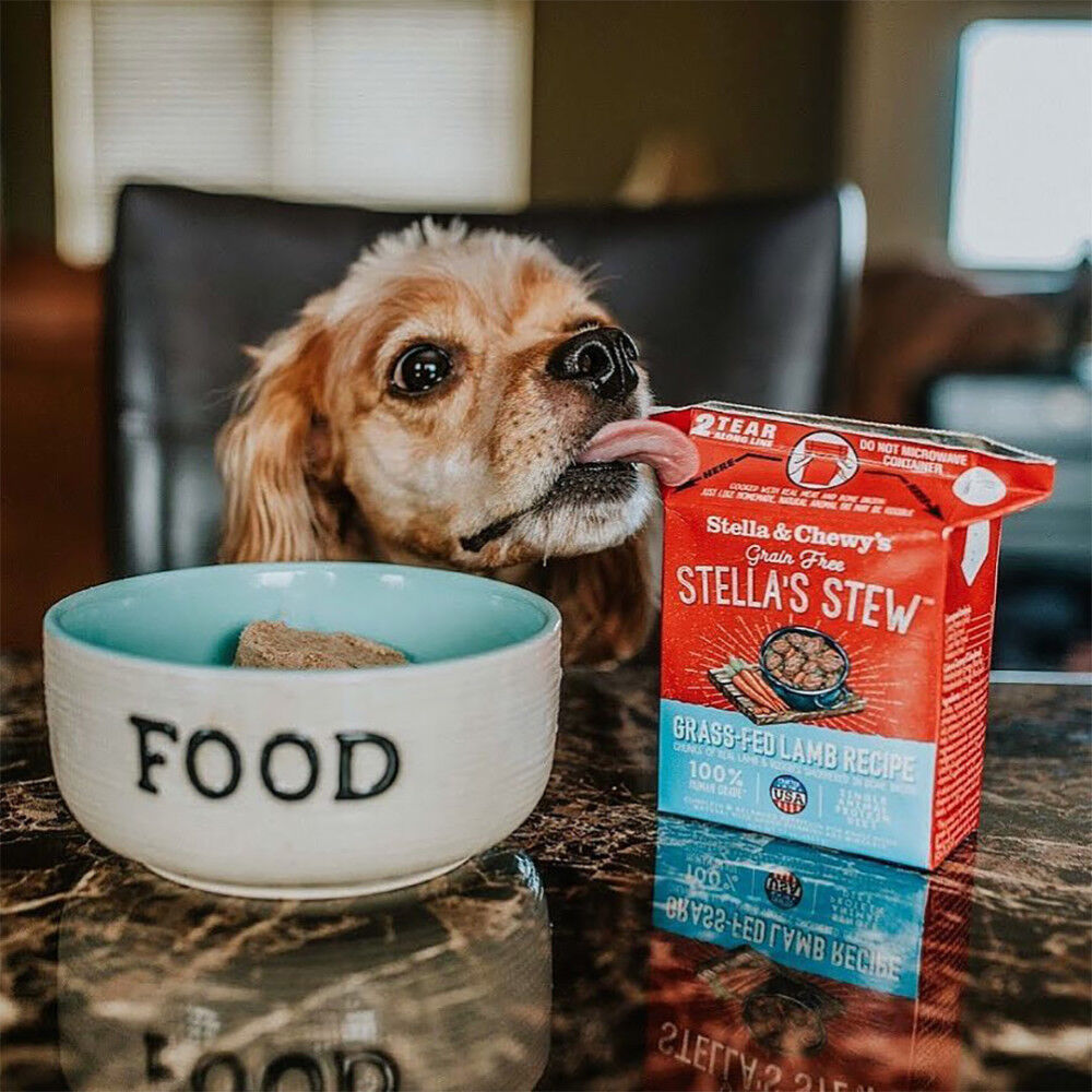 Mud Bay Buy Stella Chewy s Stella s Stew Wet Dog Food Grass Fed Lamb 11 oz for USD 3.99 MudBay