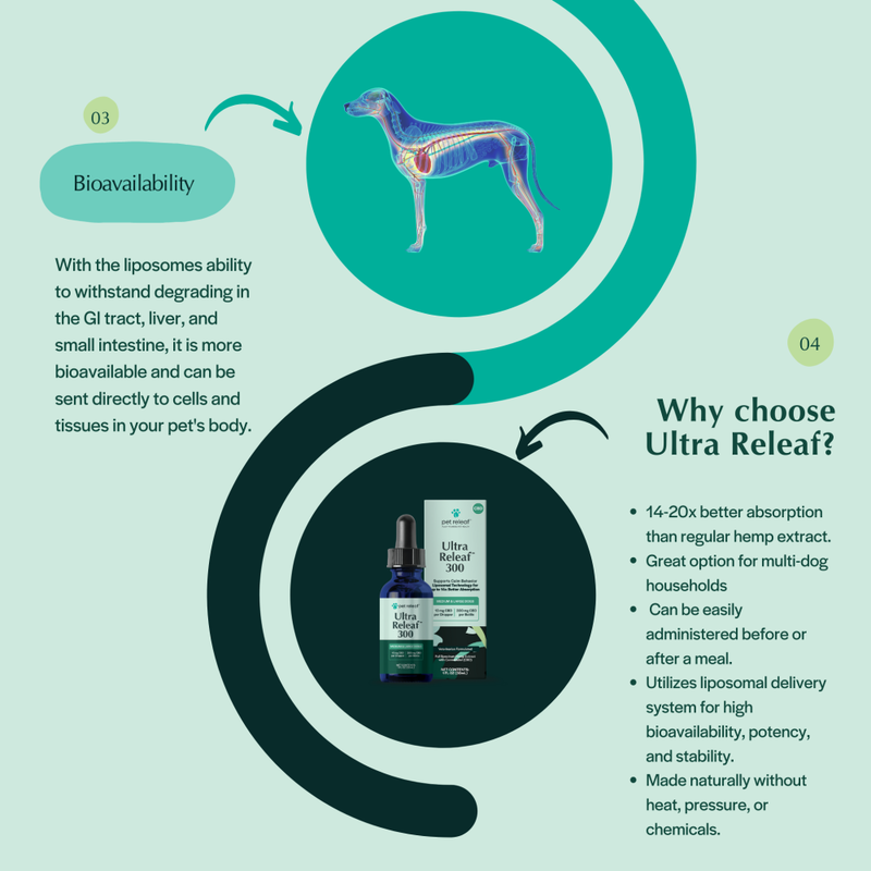 Pet Releaf CBD Liposome Hemp Oil Dog & Cat Supplement, Ultra Releaf 300, 30-ml image number null