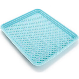 Time to Roar Bamboo Pattern Splash & Crumb Catcher Pet Food Mat, Blue