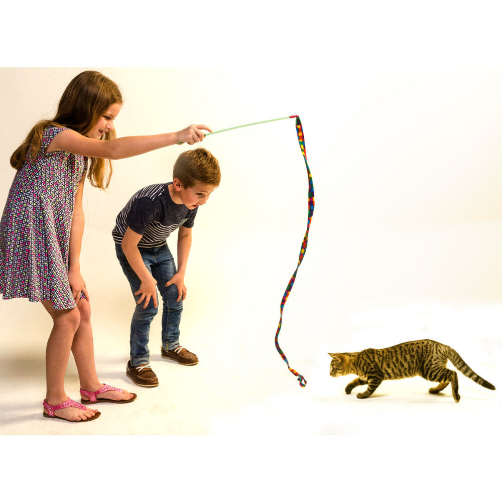 Cat charmer toy 2025