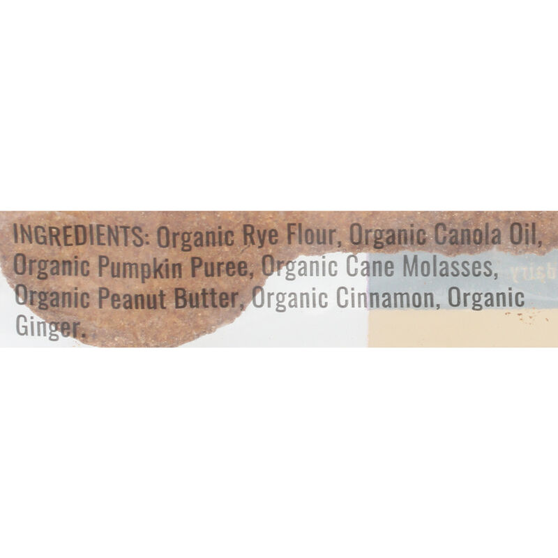 Mud Bay Big Bone Dog Treat, Pumpkin, Single image number null