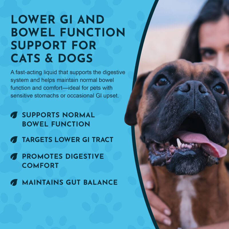 Animal Essentials Colon Rescue Herbal GI Support Dog & Cat Supplement, Liquid, 1-oz image number null