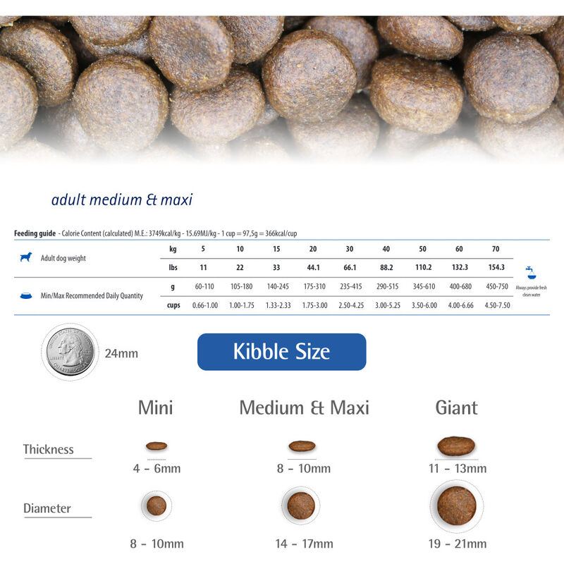 Farmina N&D Quinoa Dry Dog Food, Digestion, Lamb image number null