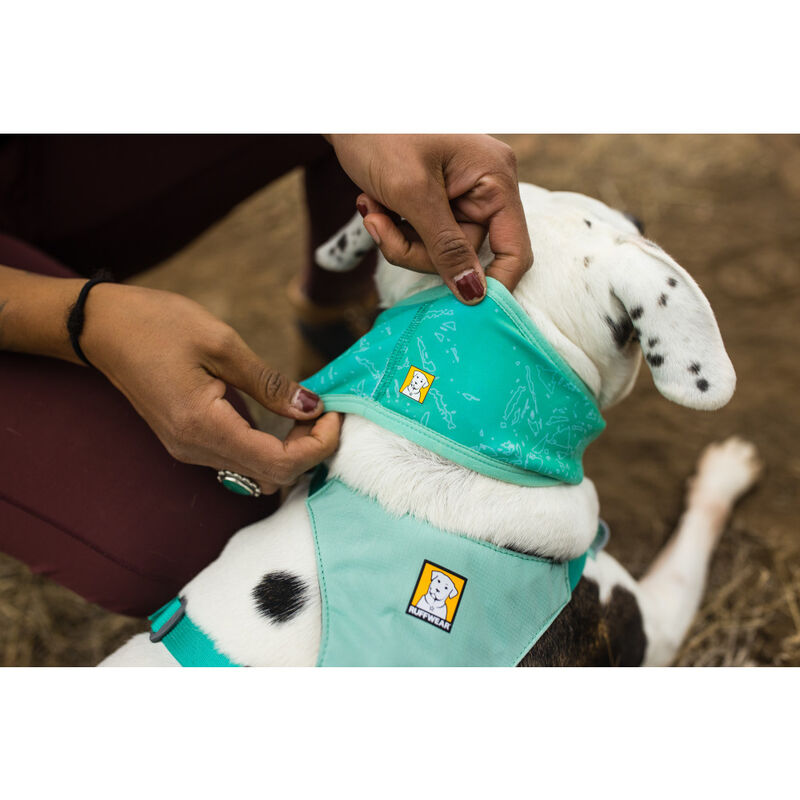 Ruffwear Swamp Cooler Gaiter Dog Cooling Apparel, Aurora Teal image number null