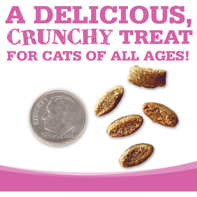 NutriSource Crunchy Cat Treats, Salmon & Tuna, 3-oz image number null