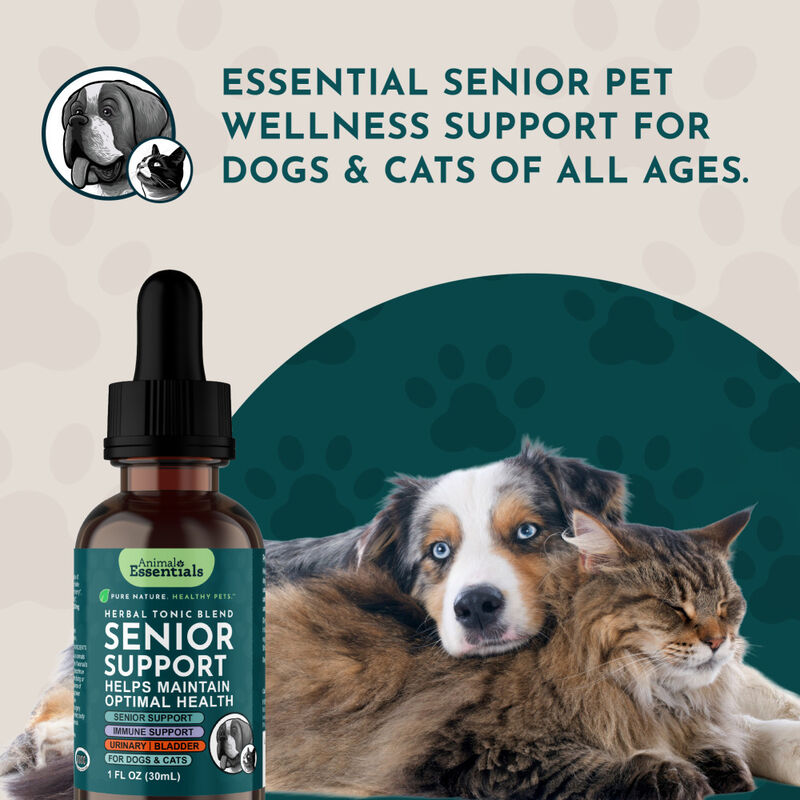 Animal Essentials Senior Support Dog & Cat Supplement, 1-oz image number null