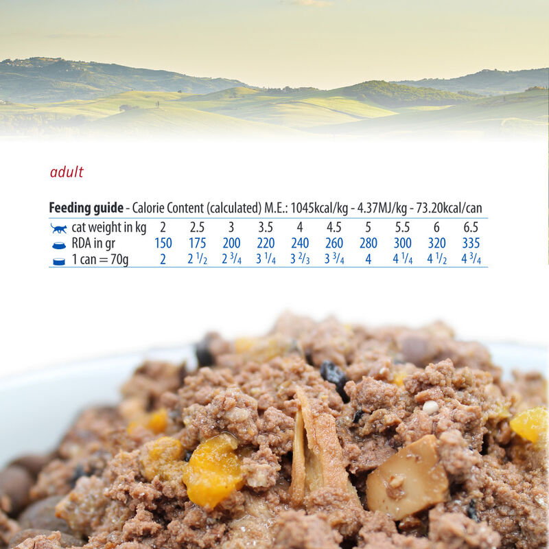 Farmina N&D Pumpkin Canned Cat Food, Quail & Pumpkin, 2.5-oz image number null