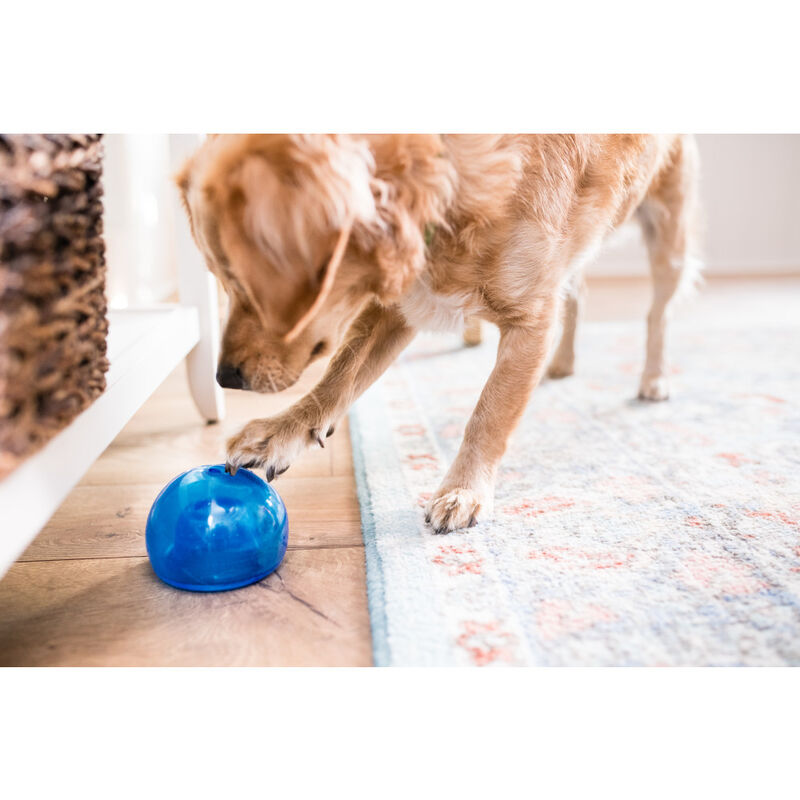 Petstages Planet Dog Orbee-Tuff Lil Snoop Interactive Treat Puzzle Dog Toy, Blue, Small image number null