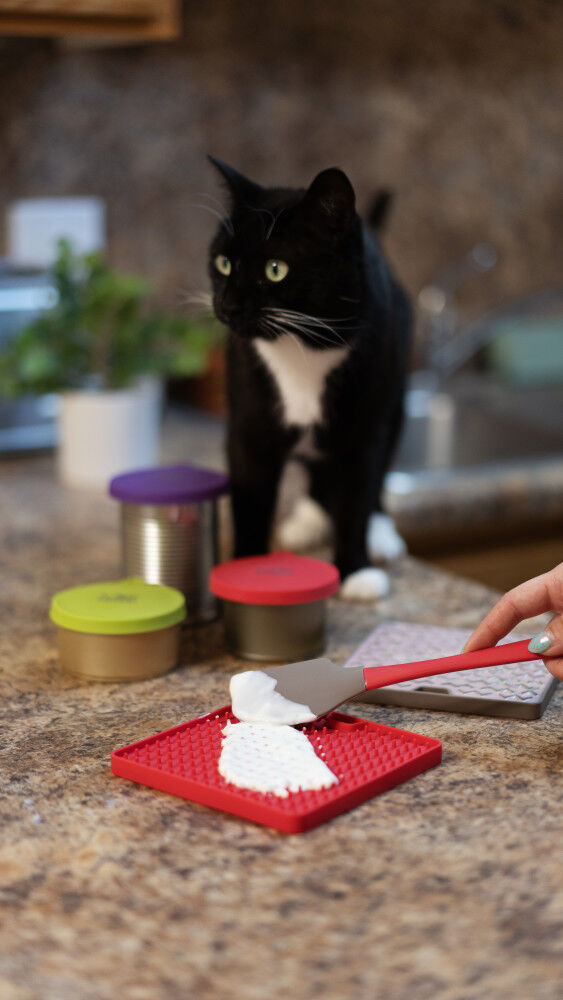 Messy on sale cats feeder